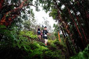 BIB: 
                            <button type="button" onclick="openModal(26202436)" class="btn btn-primary btn-sm float-right btn-popup" data-toggle="modal" data-target=".modal-high-quality">
                        <i class="fas fa-shopping-cart"></i> Add to Cart
                    </button>
                                            <button type="button" onclick="isThisMe(26202436, true)" class="btn btn-success btn-sm float-right btn-popup btn-isme hidden" data-toggle="tooltip" data-placement="bottom" title="นี่คือรูปของคุณใช่ไหม คลิกที่นี่เพื่อเอาเข้าอัลบั้ม">
                        <i class="fas fa-plus"></i> Add to album
                    </button>
                    <button type="button" onclick="isThisMe(26202436, false)" class="btn btn-warning btn-sm float-right btn-popup btn-isnotme hidden">
                        <i class="fas fa-ban"></i> Remove from album
                    </button>